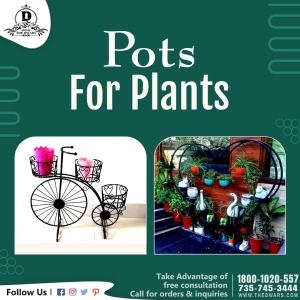 Pots for plants